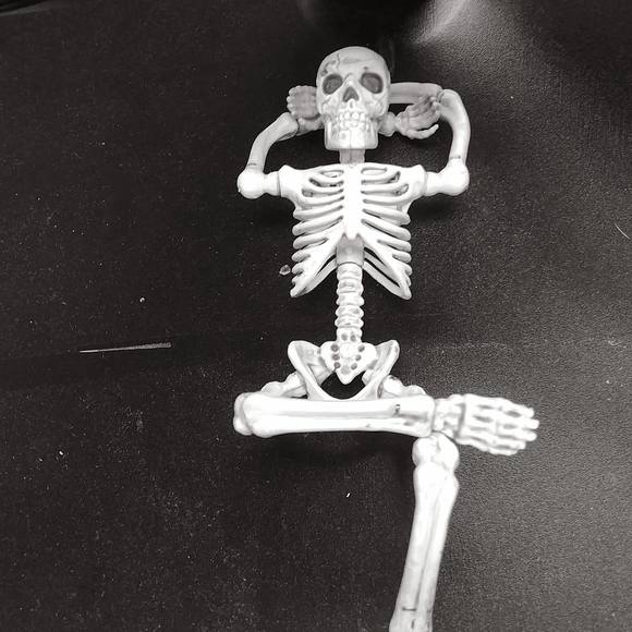 Meet your Posher, Erin - Picture 1 of 1